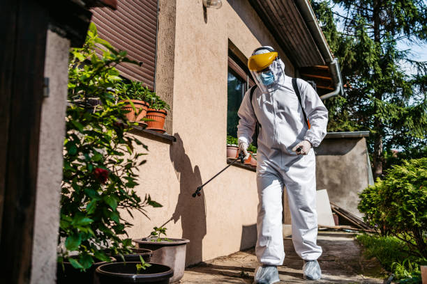 Best Best Pest Control Companies  in Brecksville, OH