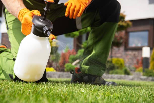 Best Mosquito Control Services  in Brecksville, OH