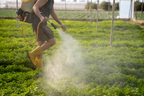 Best Best Pest Control Companies  in Brecksville, OH