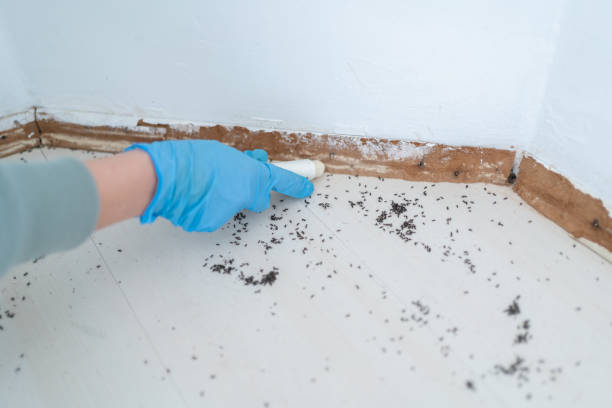 Best Pest Inspection Near Me  in Brecksville, OH