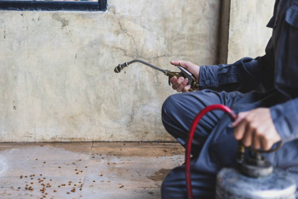 Best Exterminator Services  in Brecksville, OH